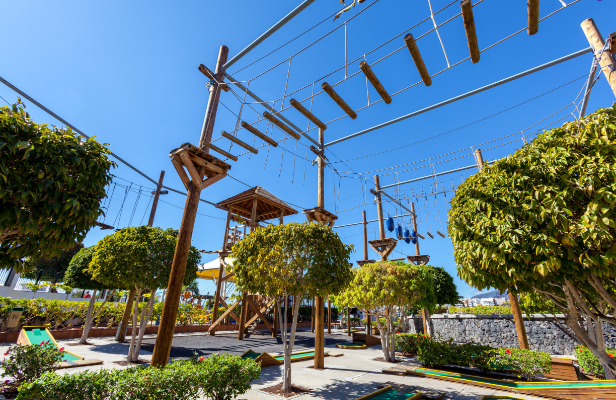 une aire de jeux avec des arbres et des balançoires