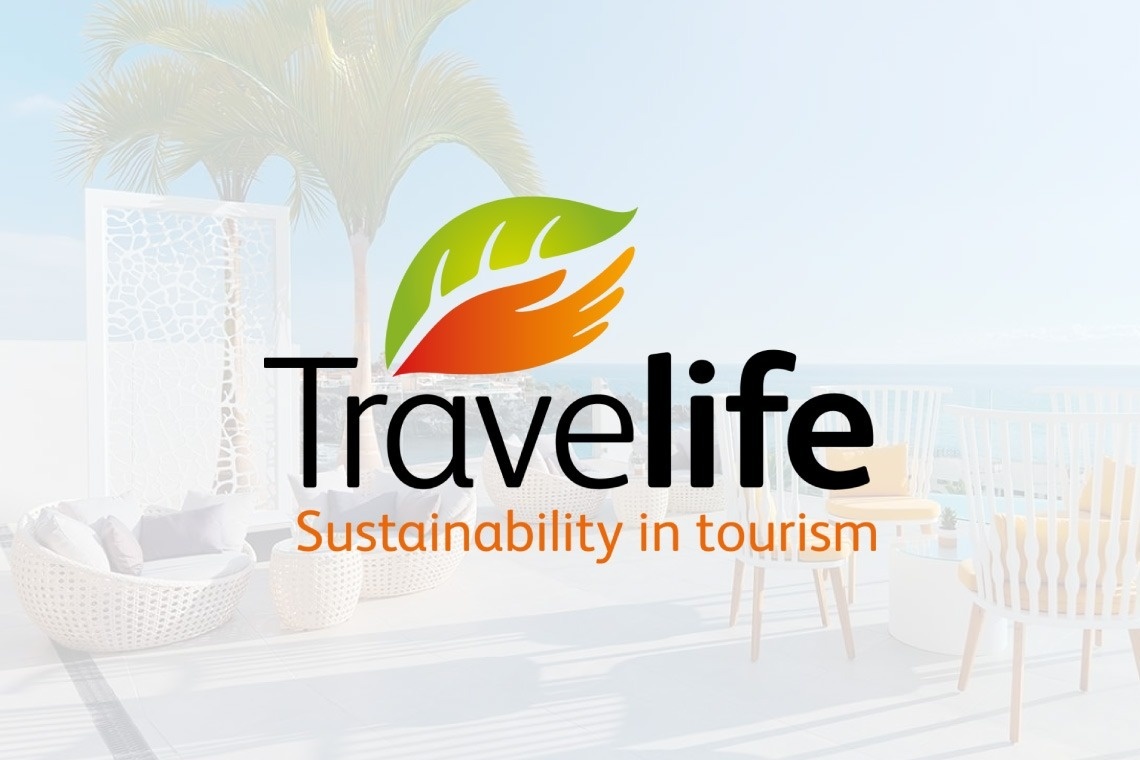 un logo de travellife avec un palmier en arrière-plan