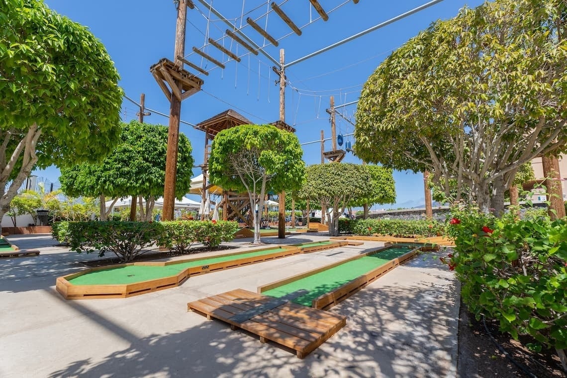 a person is putting a golf ball on the green