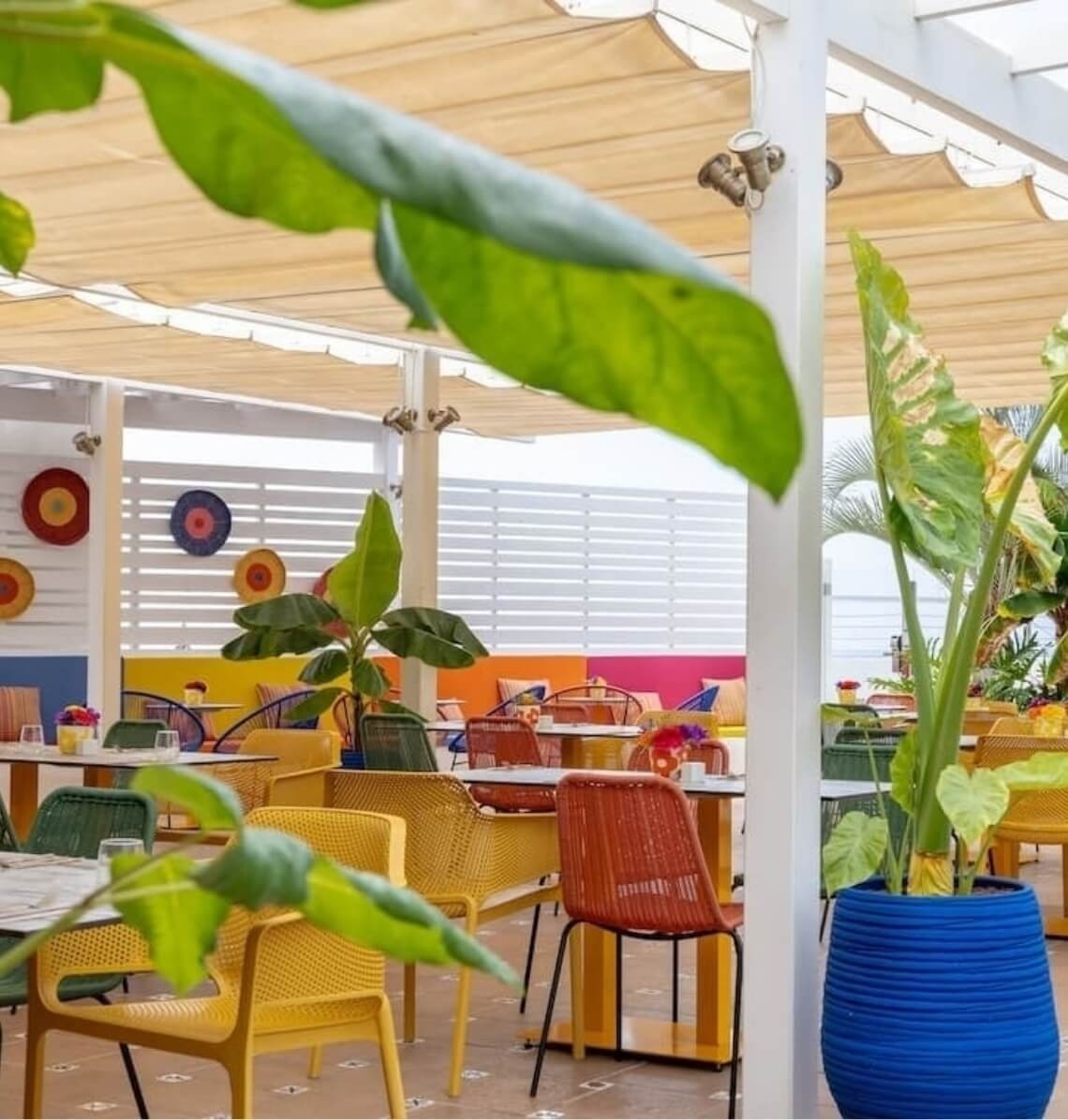 Vibrant Landmar terrace, colorful chairs, and tropical plants.
