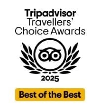 un icono de una caja de regalo con una estrella saliendo de ella .