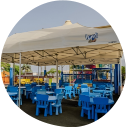 una niña se para frente a una mascota de tortuga que lleva pantalones de playa