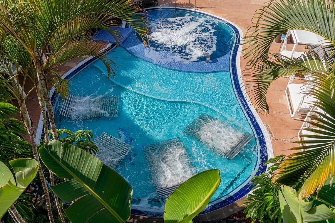 una piscina azul y blanca rodeada de palmeras