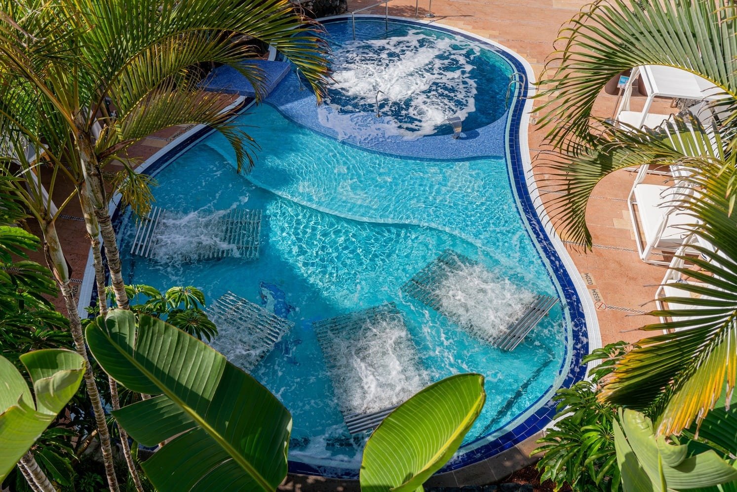 una piscina azul y blanca rodeada de palmeras