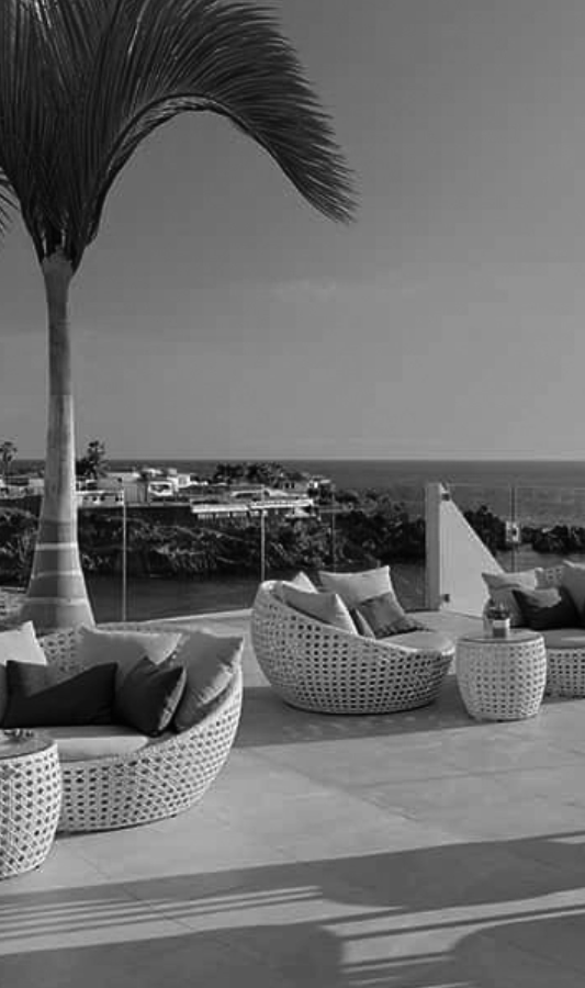 a black and white photo of a patio with wicker furniture and a palm tree .