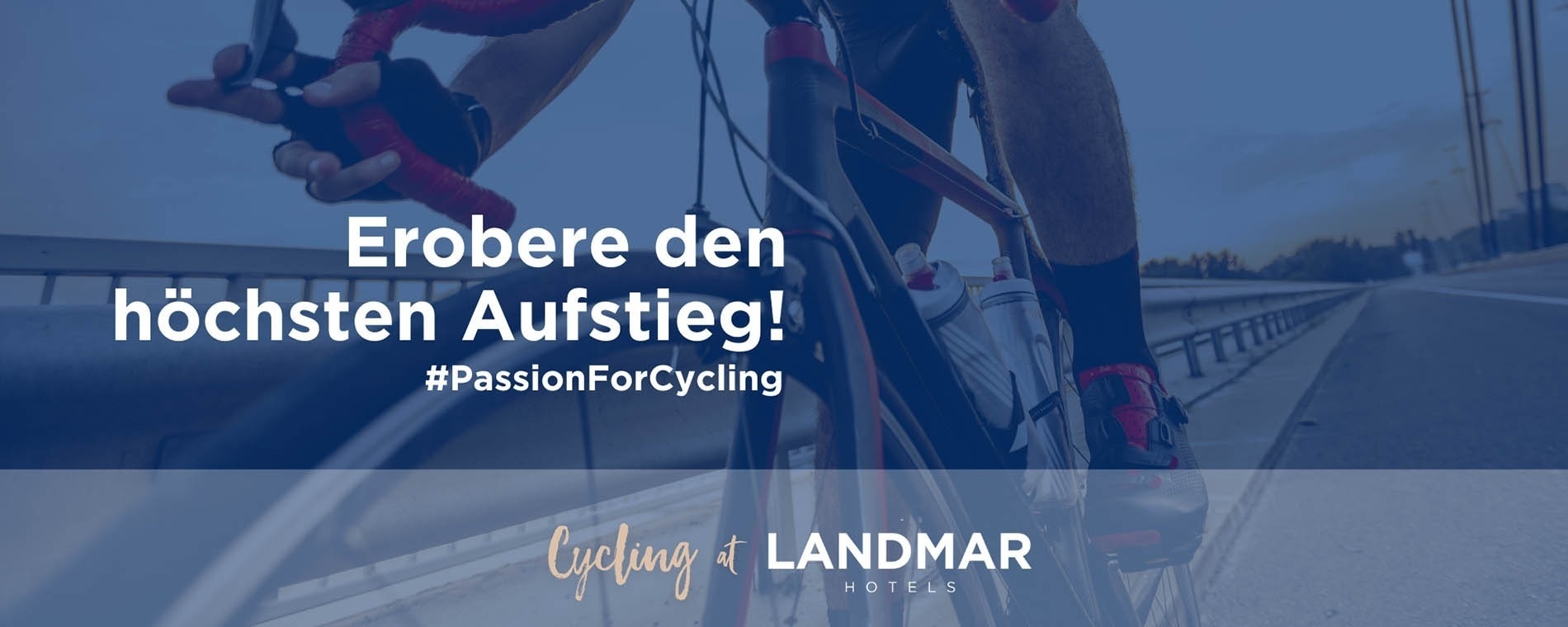 ein Mann fährt mit einem Fahrrad auf einer Straße