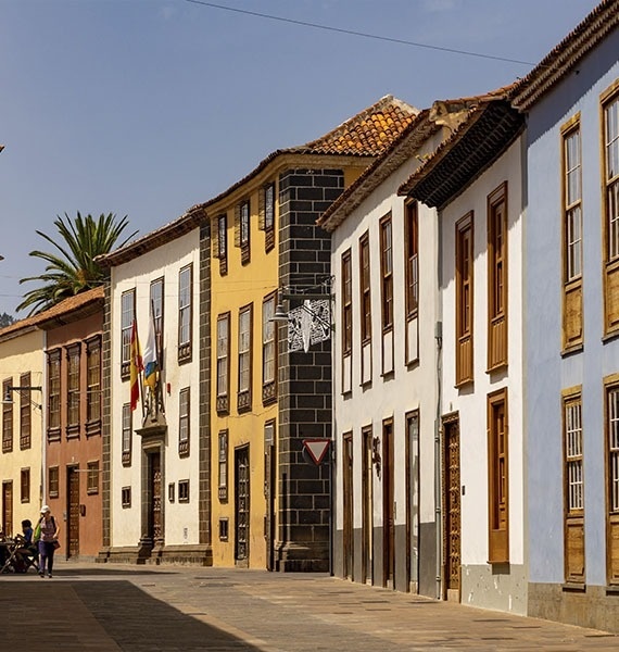 a church with a clock tower and a tree in front of it