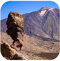 un groupe de jeunes joue au basket sur un terrain