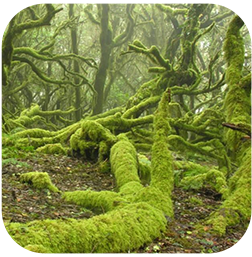 un gros plan d' une balle de golf sur un green