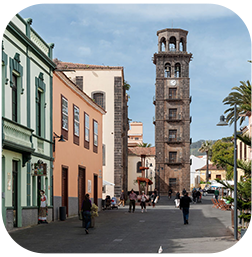 un groupe de jeunes joue au basket sur un terrain
