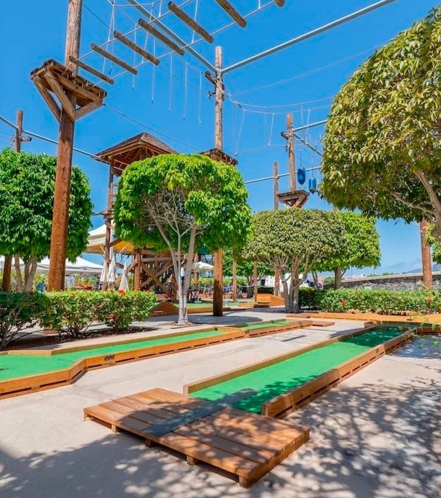 a woman in a red jacket stands in front of a palm tree