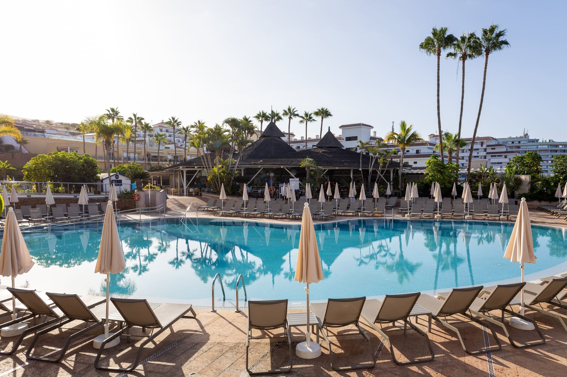 Eine Frau hält eine Tasse Kaffee und schaut auf ihr Handy