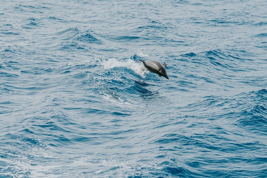 
              What to see in Tenerife in three days