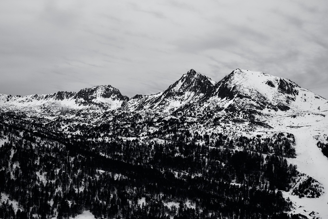 montañas cubiertas de nieve con árboles en primer plano