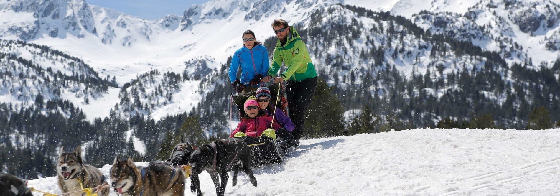 un grupo de personas están en un trineo tirado por perros husky