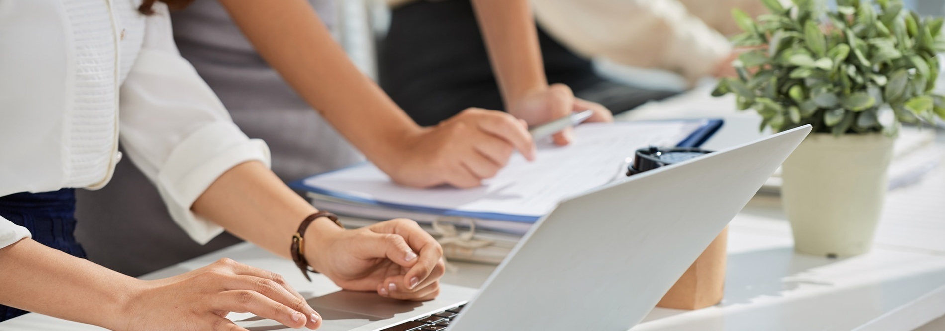 un grupo de personas están trabajando en una computadora portátil