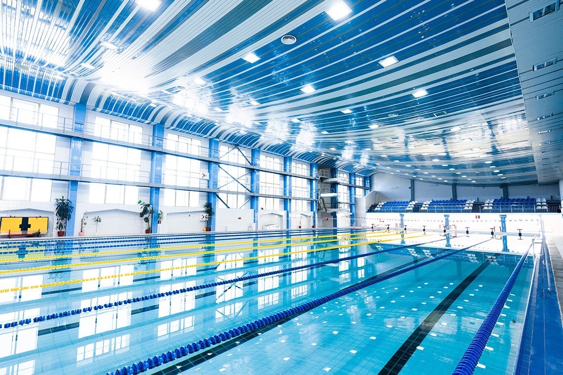 una motocicleta harley davidson está estacionada en un campo al atardecer