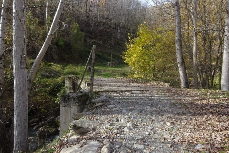 un camí de roca a través d' un bonic bosc