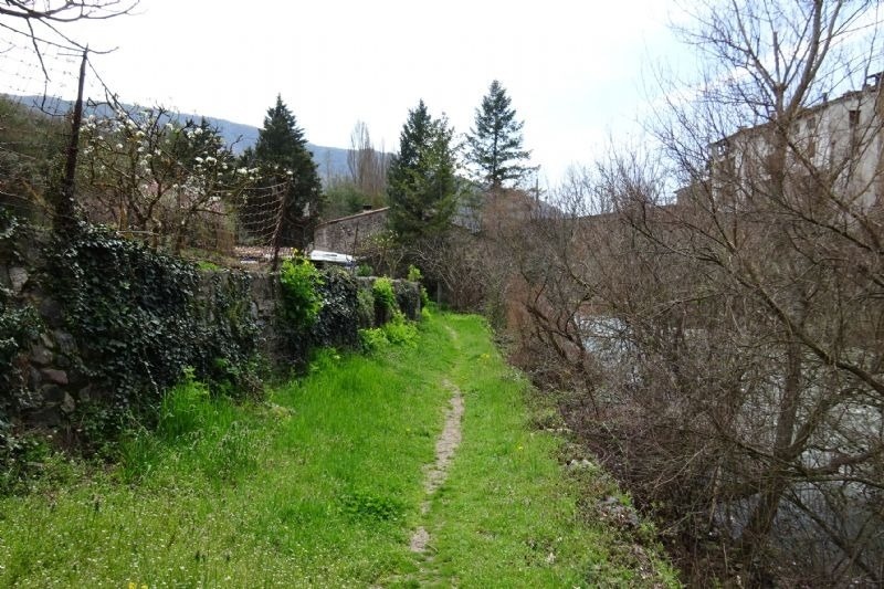 un camino que conduce a un río rodeado de árboles y hierba