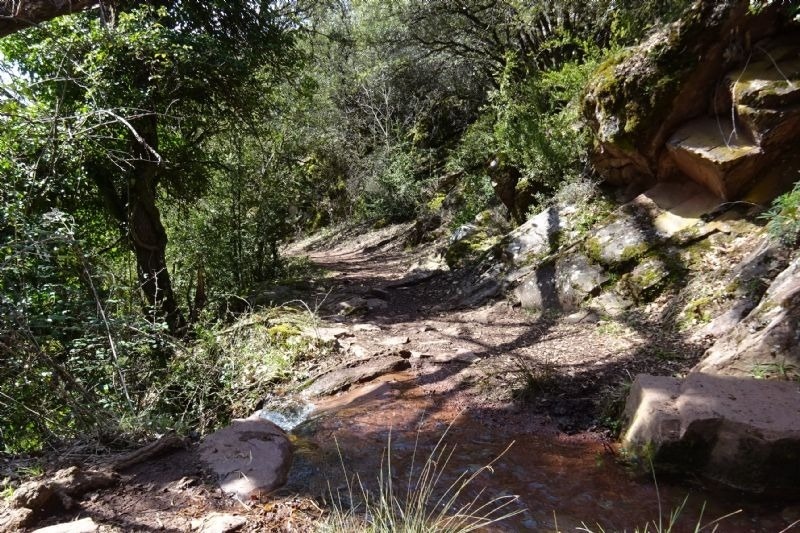 a path in the woods with rocks and trees