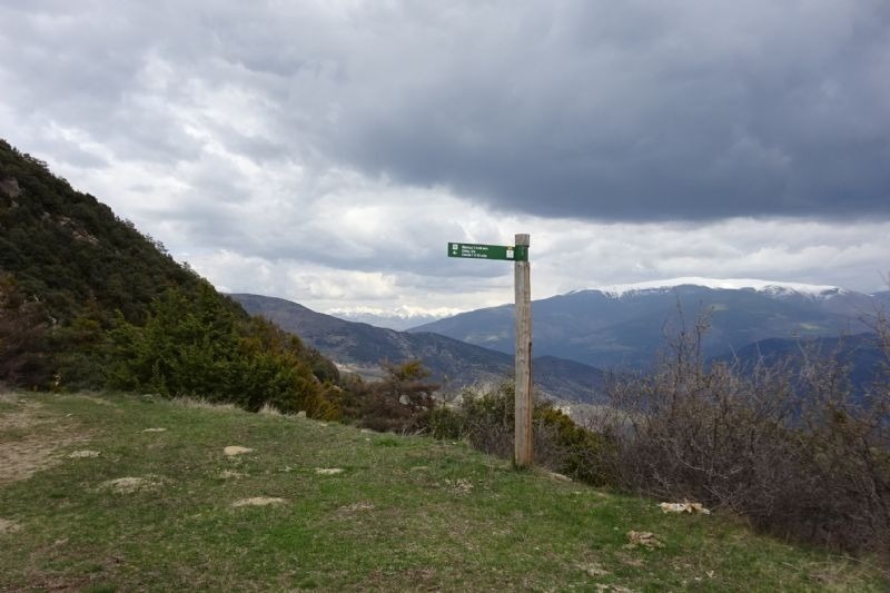 a green sign on a pole shows the way to a trail