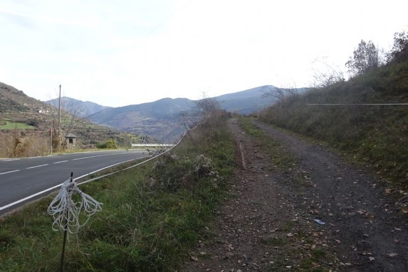 una cuerda está atada a un poste junto a una carretera