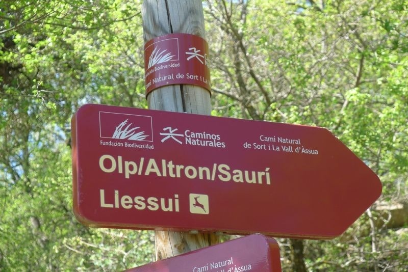 a red sign that says olp / altron / sauri liessui