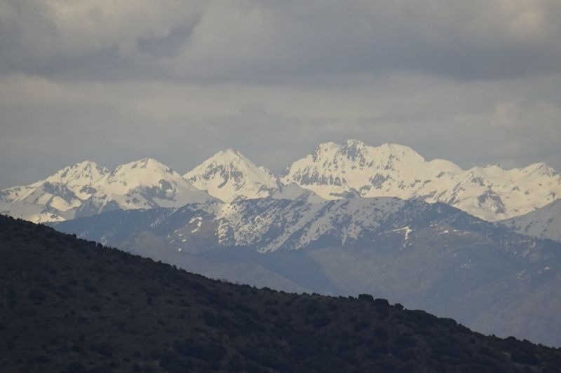 a snowy mountain range with trees in the foreground