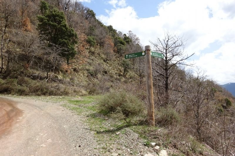 a sign on the side of a dirt road points the way