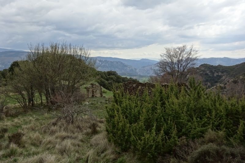 a landscape with mountains in the background and trees in the foreground