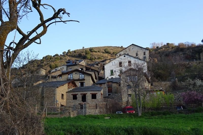 a few buildings on a hillside with a tree in the foreground