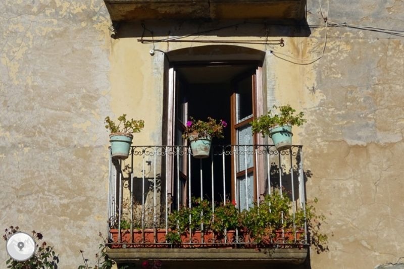 un balcó cobert de plantes i flores