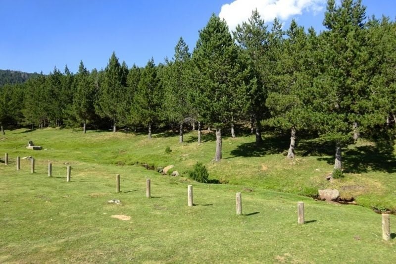 un riu que s'envolta en un bonic bosc