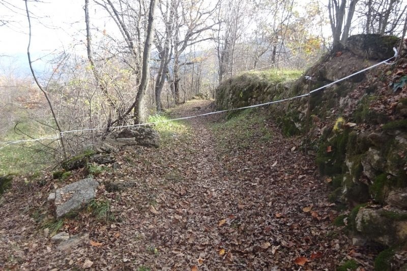 un sender de bosc amb una corda a l' esquerra