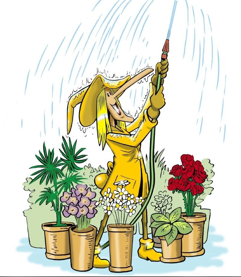 a cartoon of a person spraying flowers with a hose