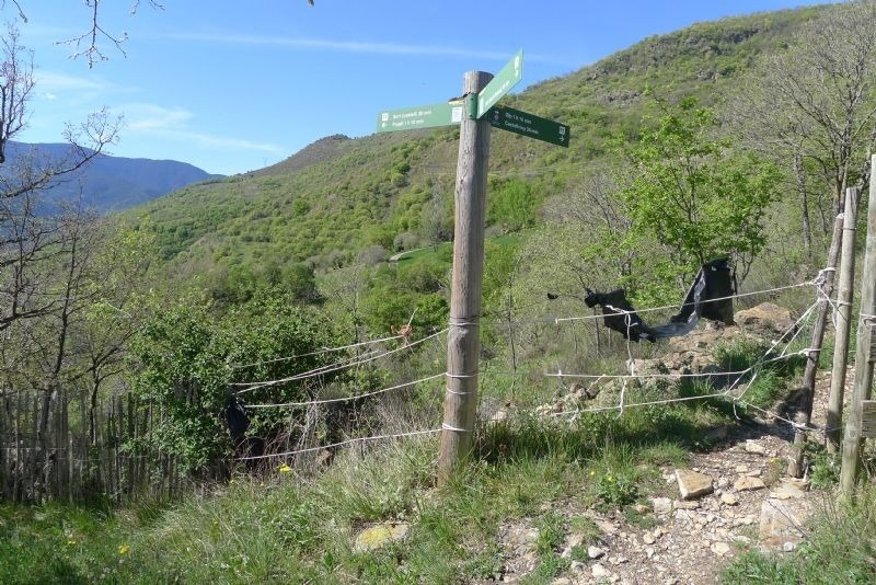 a wooden post with a green sign on it that says ' a ' on it