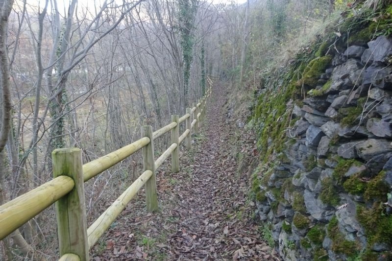 un camí de bosc amb una cerca de fusta i un mur de roca