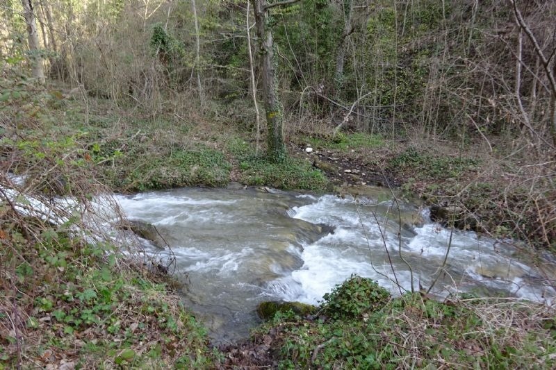 a stream in the woods with a yellow sign on the tree