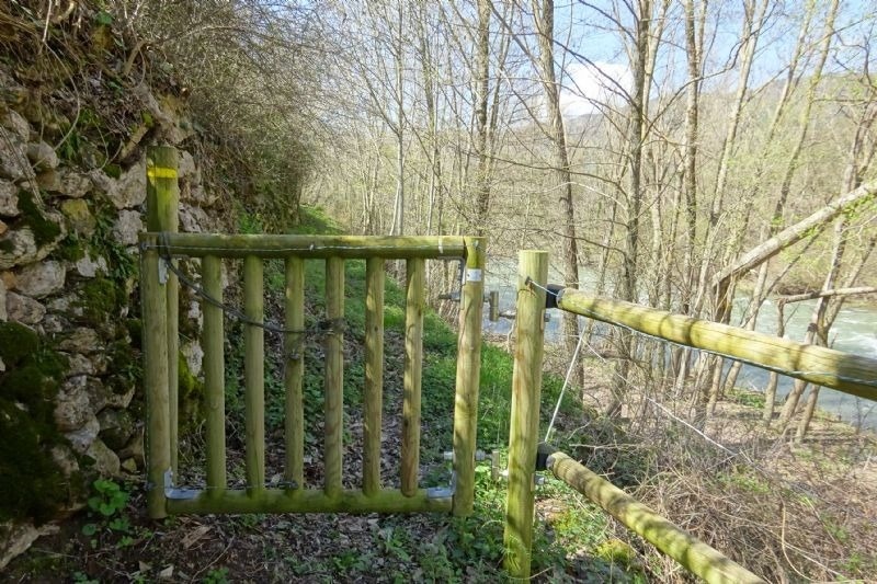 una puerta de madera que conduce a un bosque