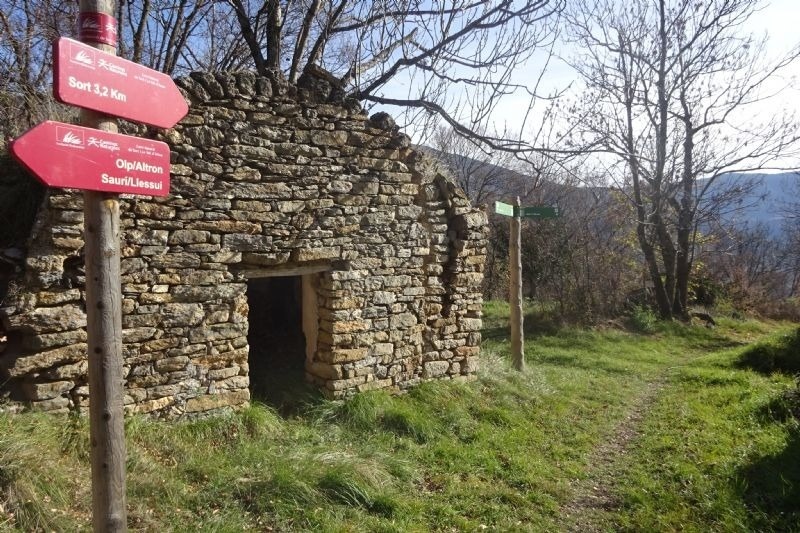 un edifici de pedra a l' ombra d' un arbre