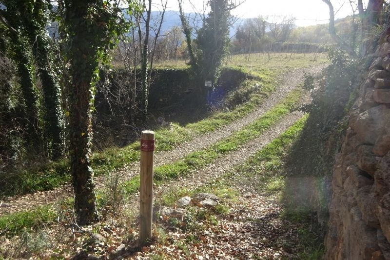 un pilar de fusta a l' esquerra d' un camí de bosc