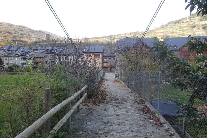 un pont de corda a través d' un bosc a un pueblo