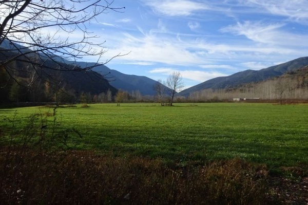 un campo verde con montañas en el fondo