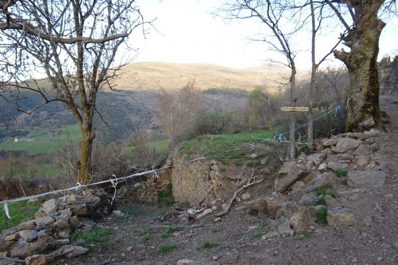 un arbre a l' esquerra d' un sender de rocas