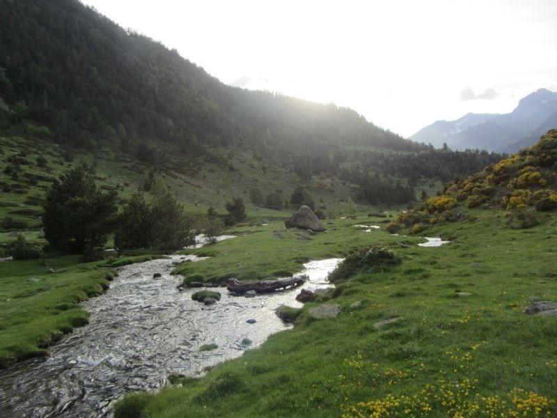 un riu que s'envolta en un paisatge d' arbres i flors