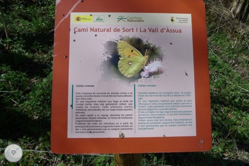 a sign that says camin natural de sort i la vall d' assua