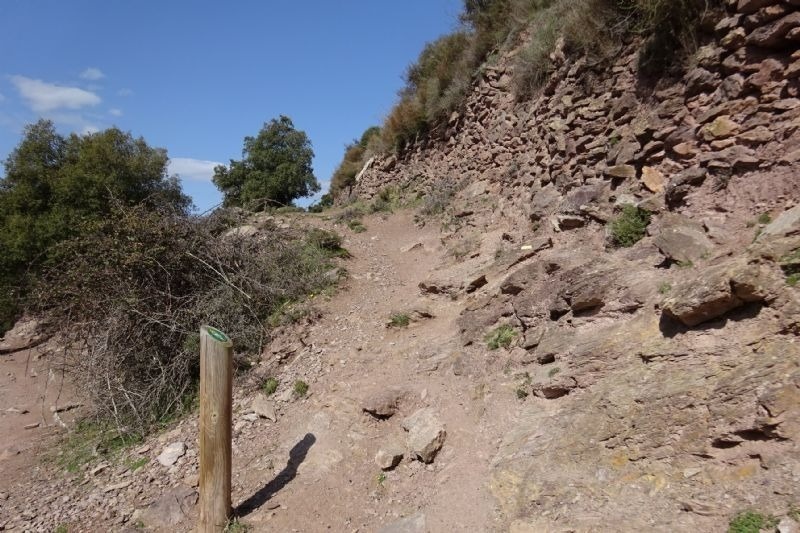 a wooden post with a green arrow pointing to the right