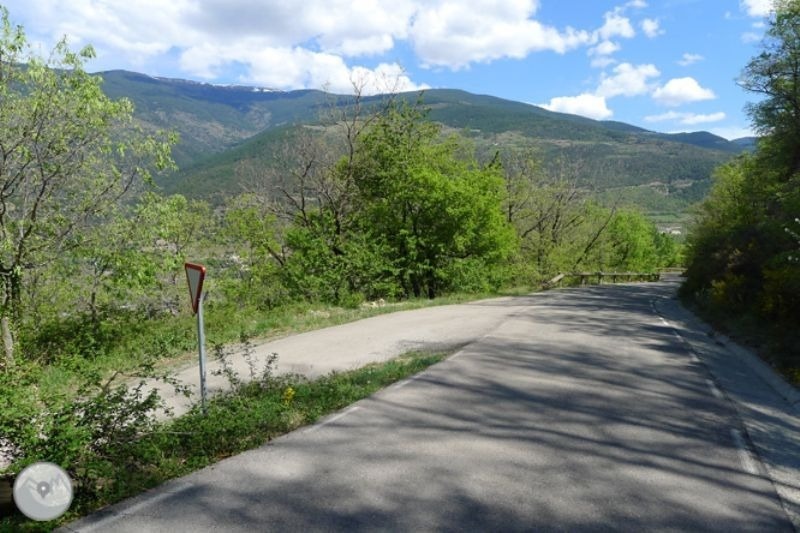 a road with trees and mountains in the background