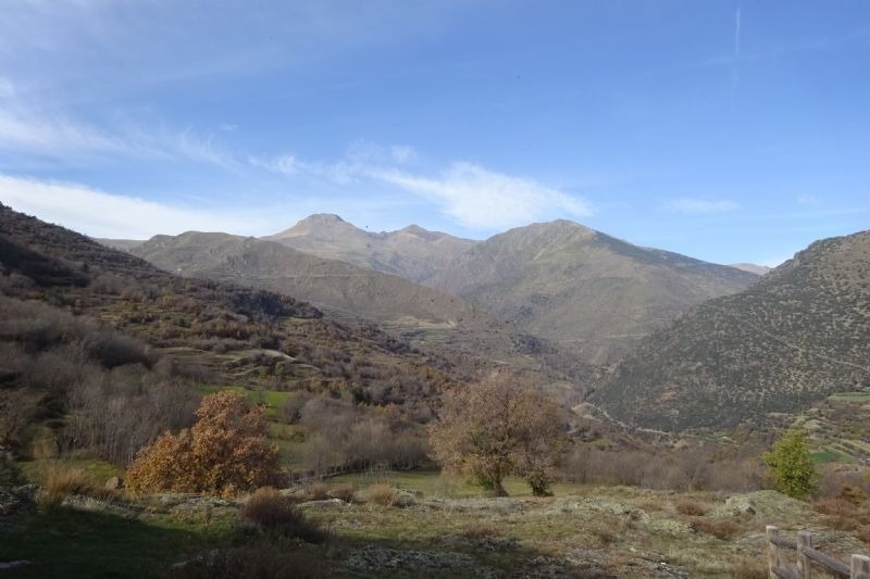 un paisatge de montagnes amb un arbre a la dreta