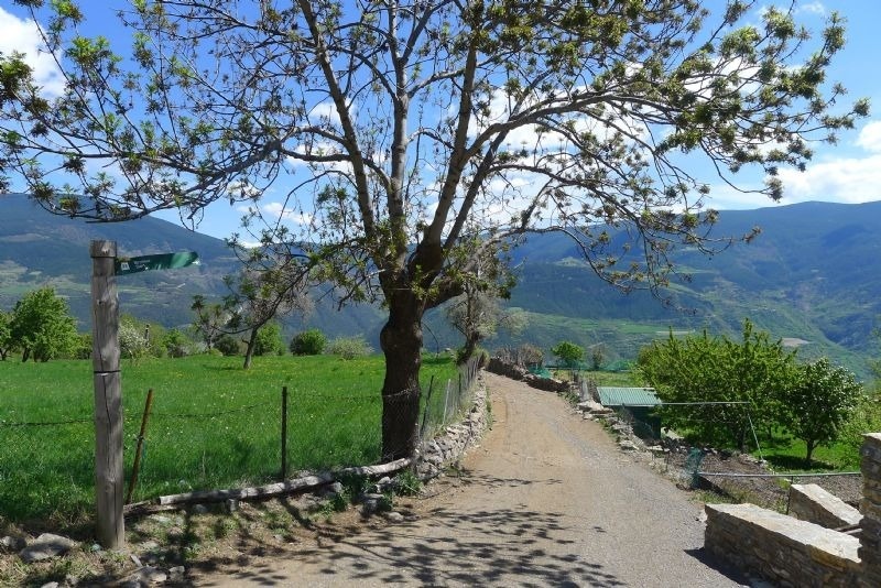 a dirt road with a sign that says ' a ' on it